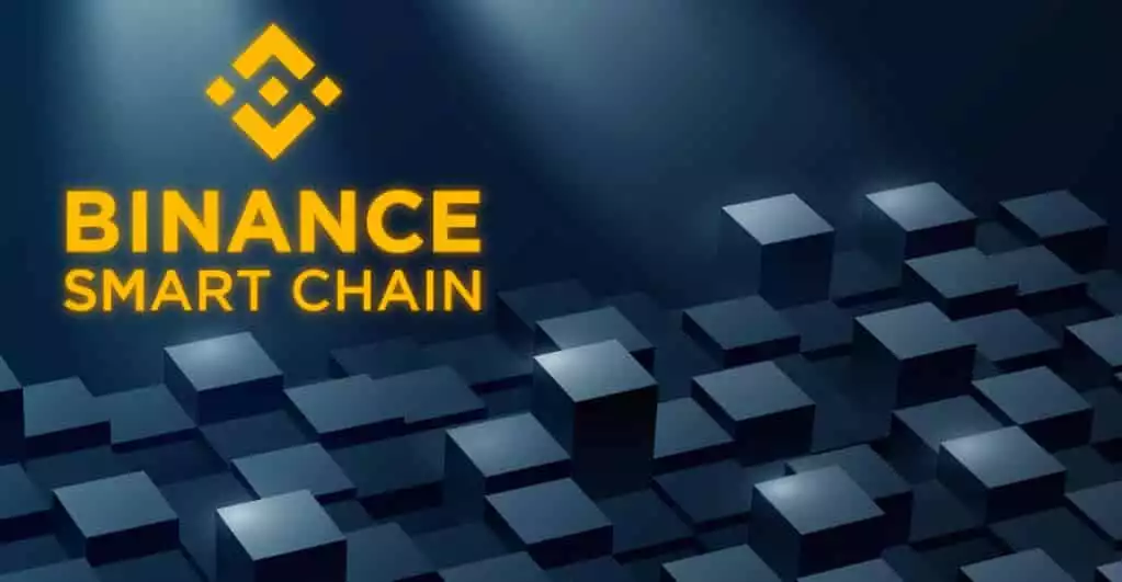 Binance Smart Chain An Insightful Guide to Binance Smart Chain